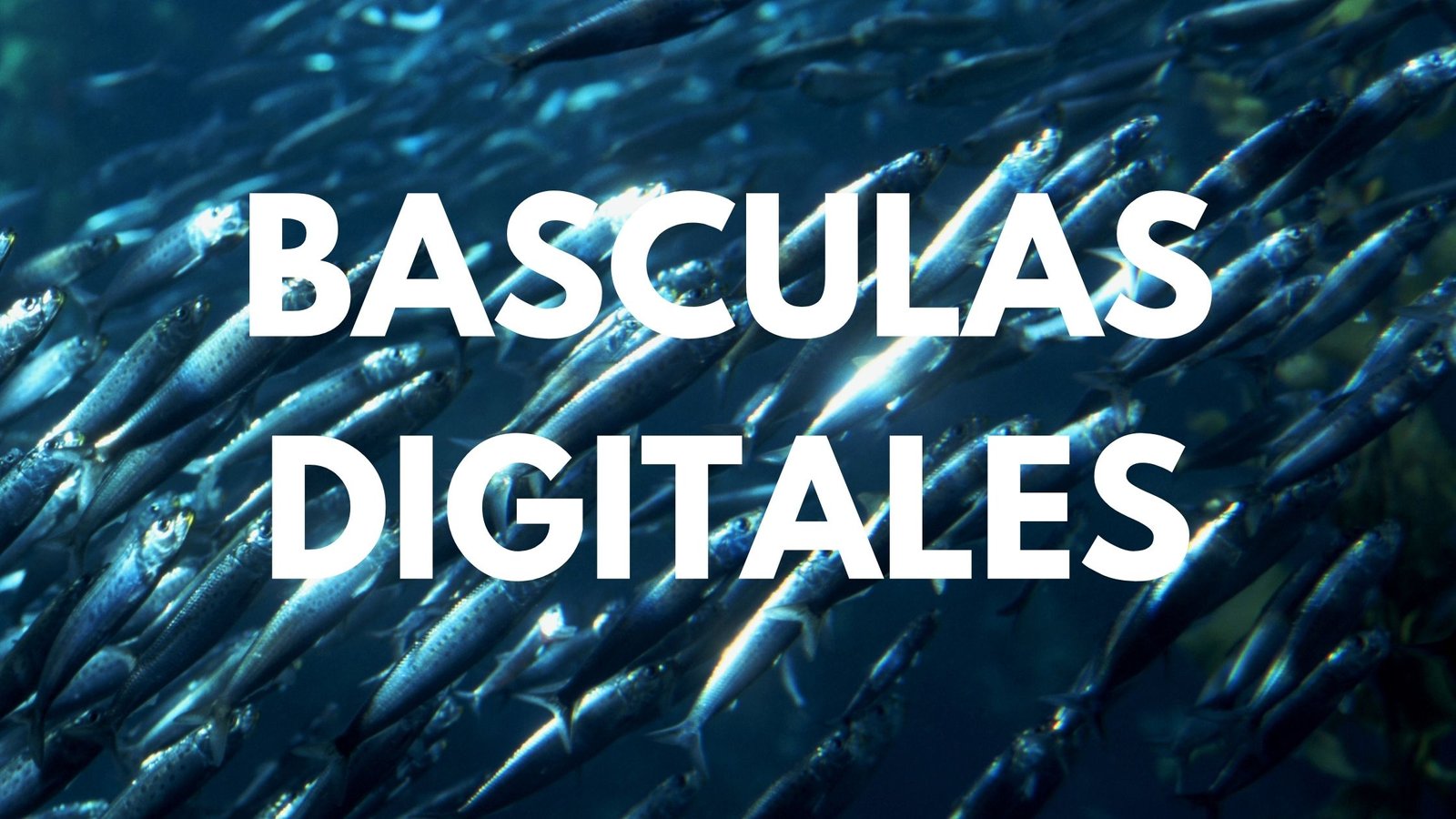 Basculas Digitales